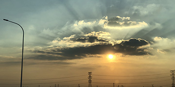 仙居小二技术优势